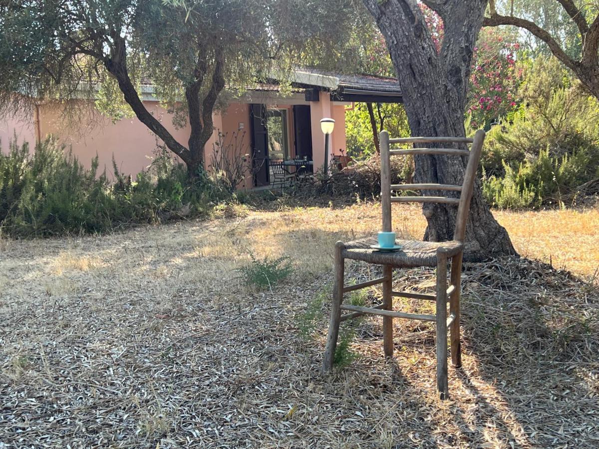 Casa Rosmarino Villa San Giovanni  ภายนอก รูปภาพ